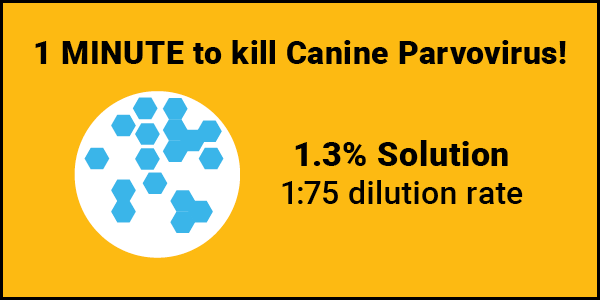 1 minute to kill canine parvovirus - 1.3% Solution - 1:75 dilution rate