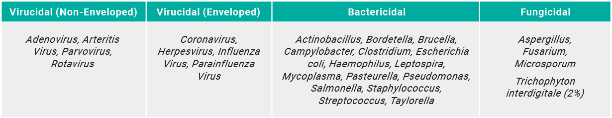 Effective against coronaviruses - 1% solution